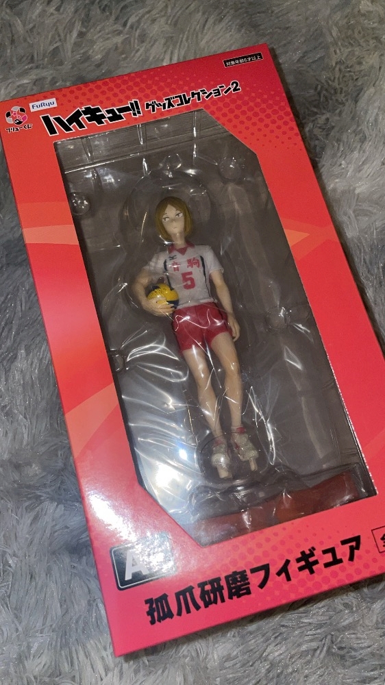 一条 葵
