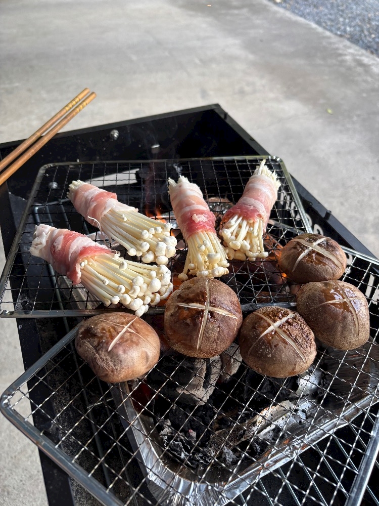 一条 葵