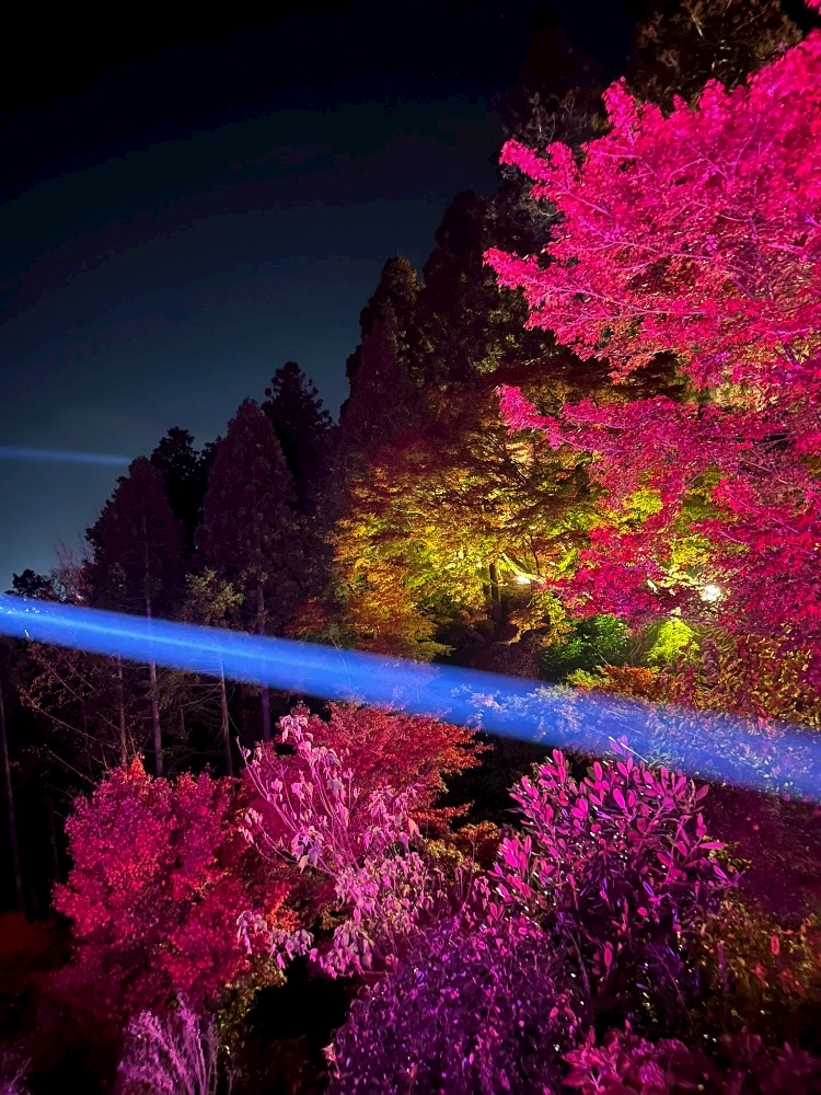 Lounge L’Atelier日記1534164