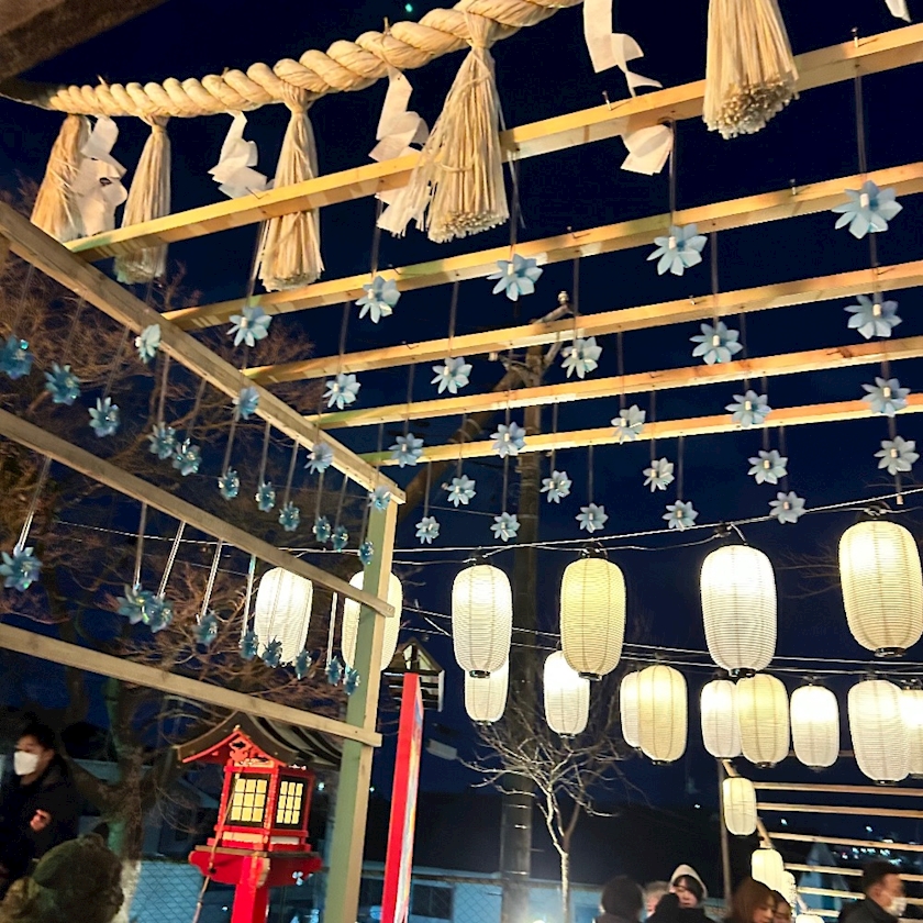 WISTERIA日記1570645