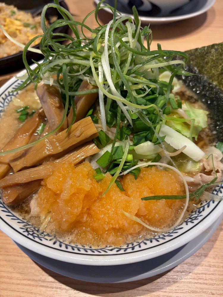 一条 葵