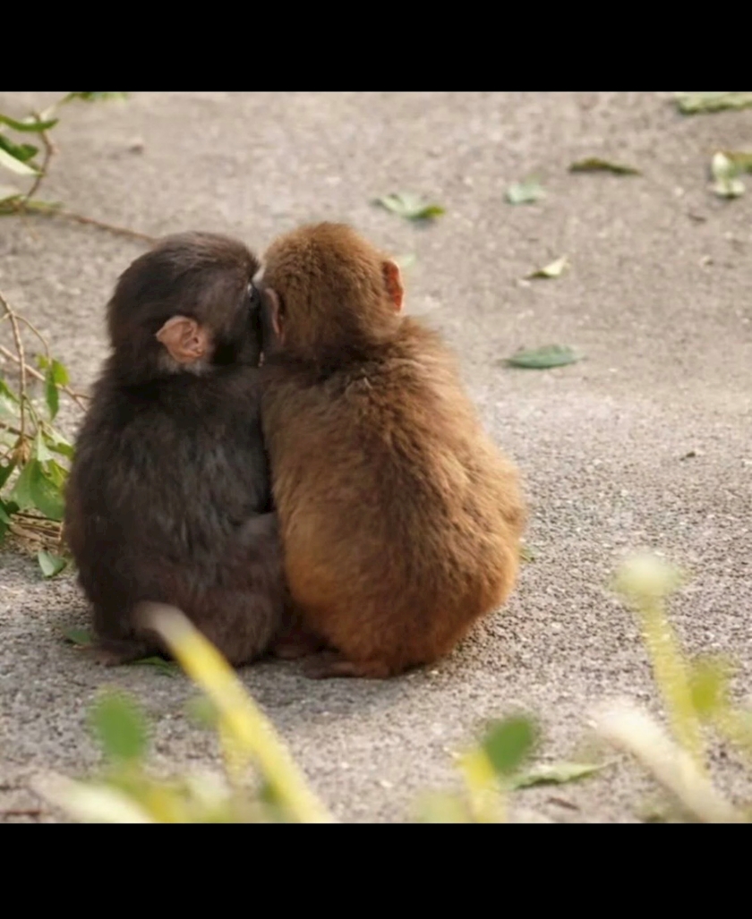 Bar Lounge 莉音　彦根駅前店日記1618827