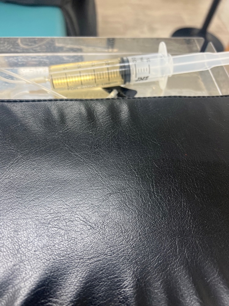 おかえりなさい日記1552232