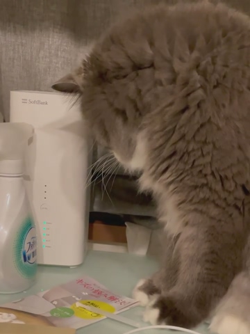 . .  . . なかな･･･