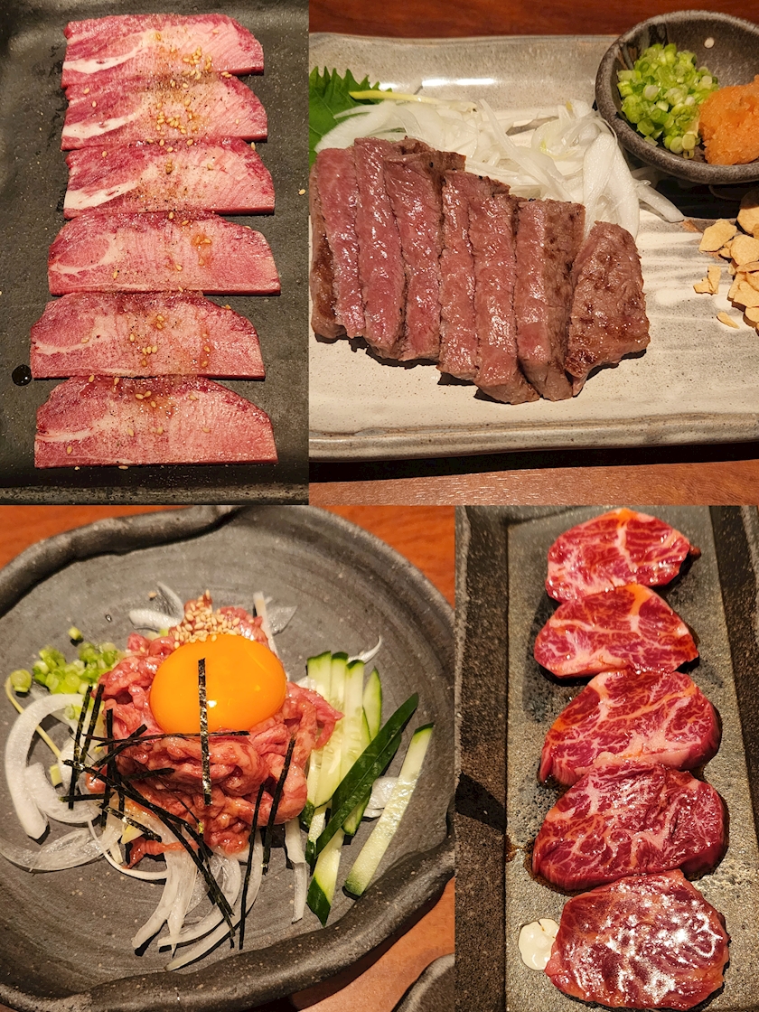 一条 葵