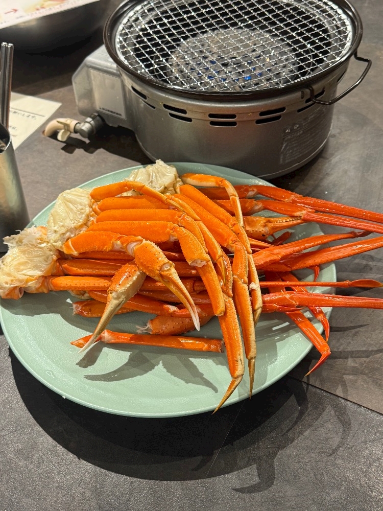 おかえりなさい日記1566516