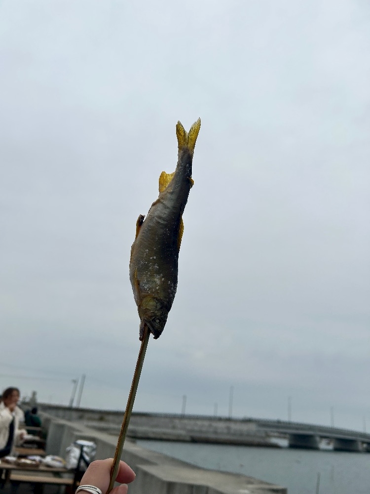 WISTERIA日記1515240