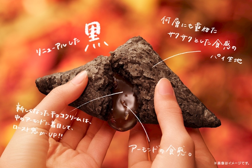 一条 葵
