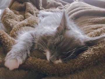 . . . ふと思い立っ･･･