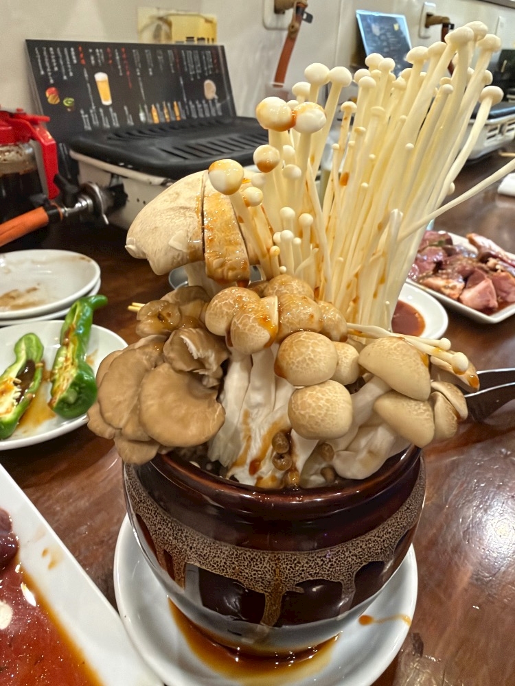 一条 葵