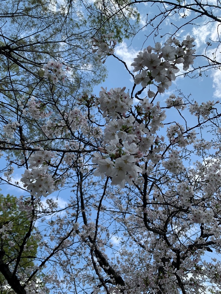 CLUB ONE CHAN -ミナミ心斎橋店-日記1629180