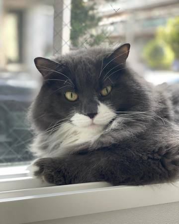 . . . たまにはうち･･･