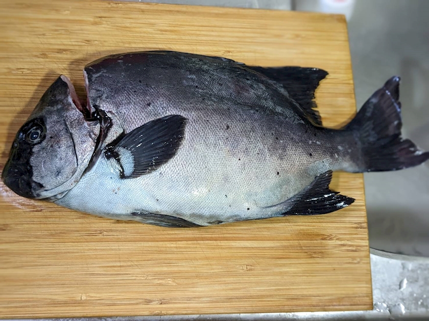 ＃２４　羨望の眼差し👀