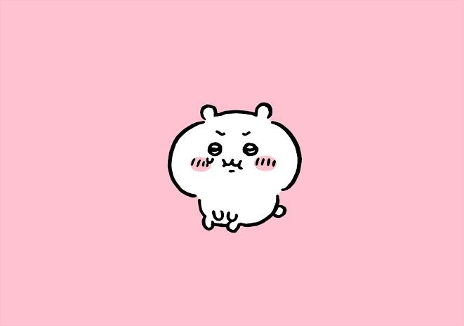 本日定休日っ☔️