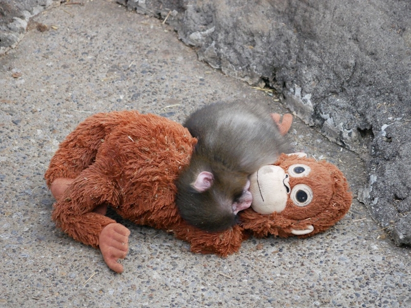 La vie et 中目黒日記1595300