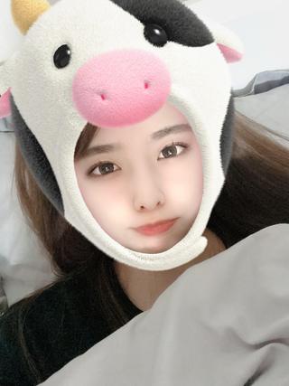 あけましておめでとうございます🎍