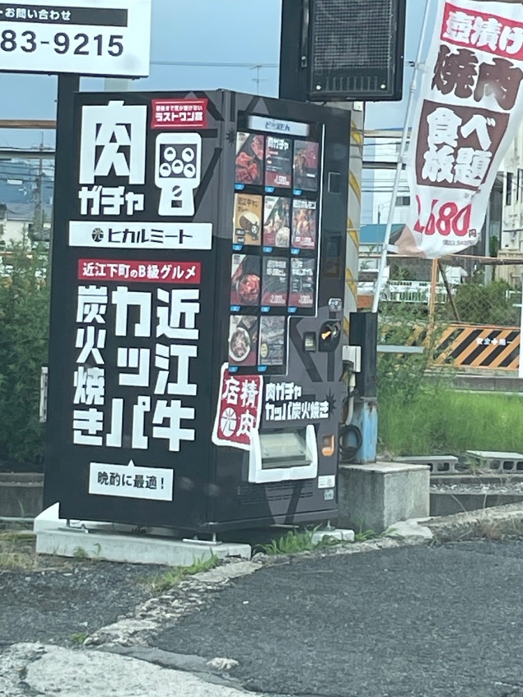 一条 葵