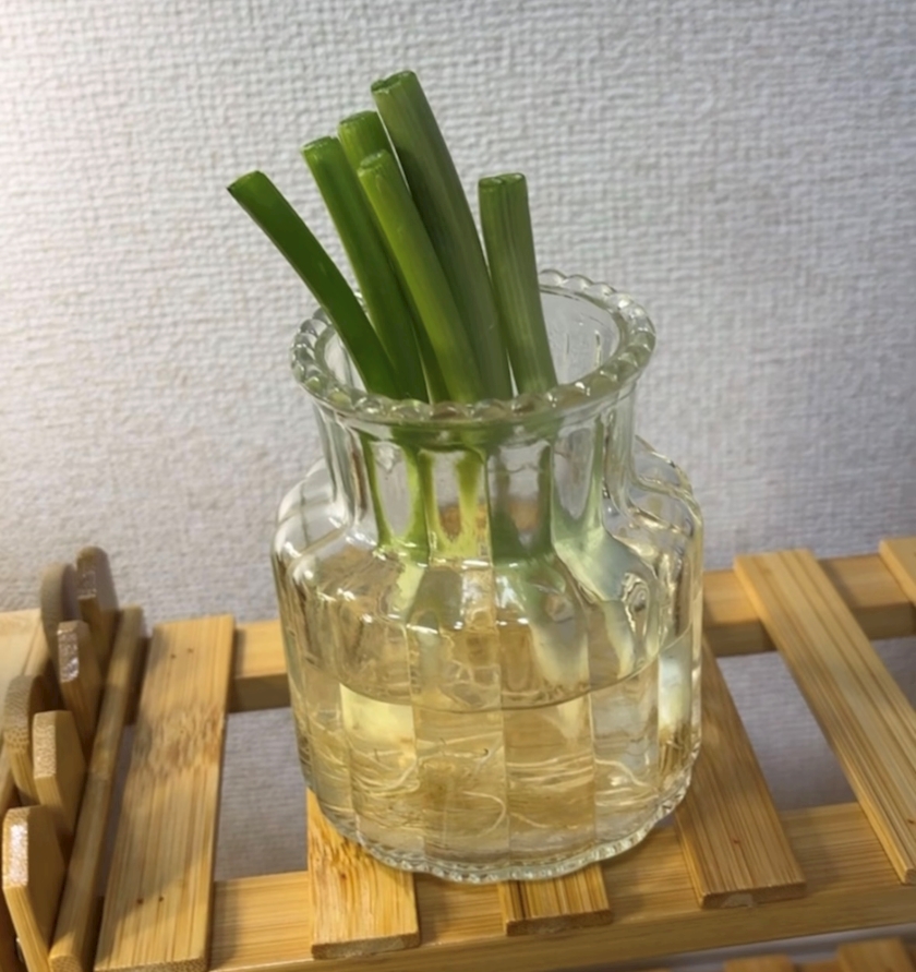 一条 葵