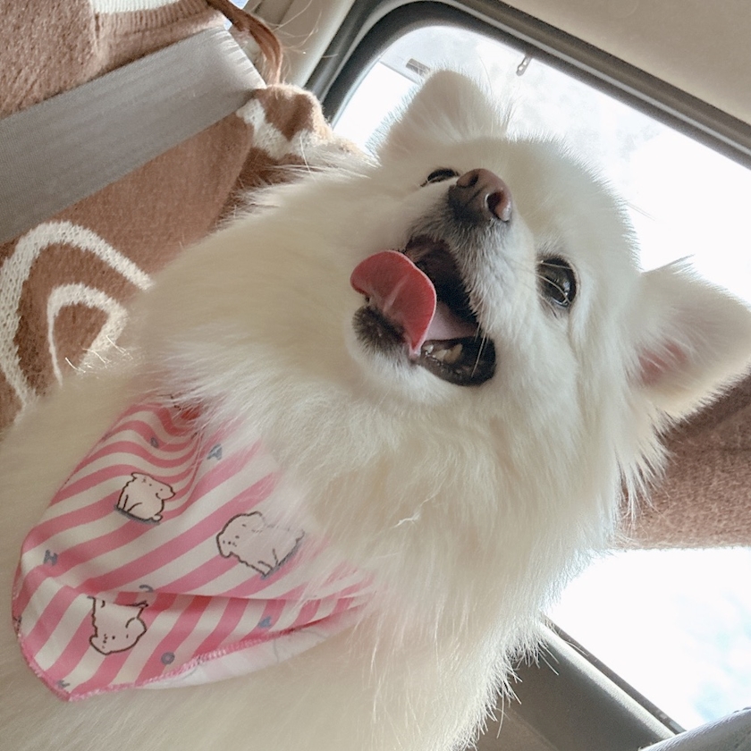 ママ七瀬　あや