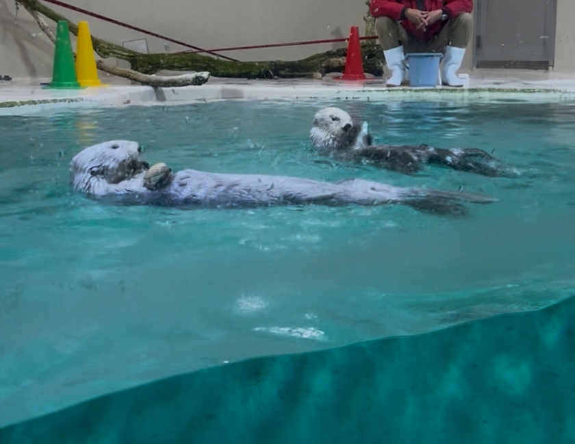 Lounge L’Atelier日記1516114