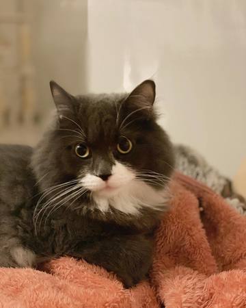 . . こじろうとの休日･･･