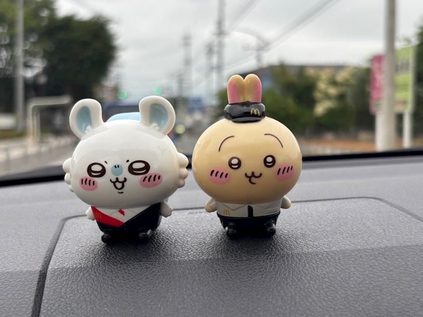 一条 葵
