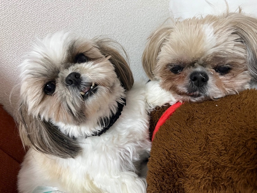 CLUB ONE CHAN -ミナミ心斎橋店-日記1568829