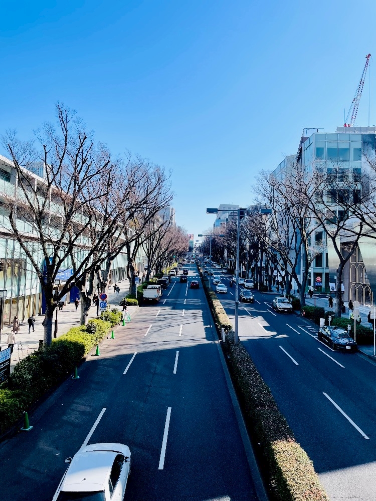 おかえりなさい日記1586000