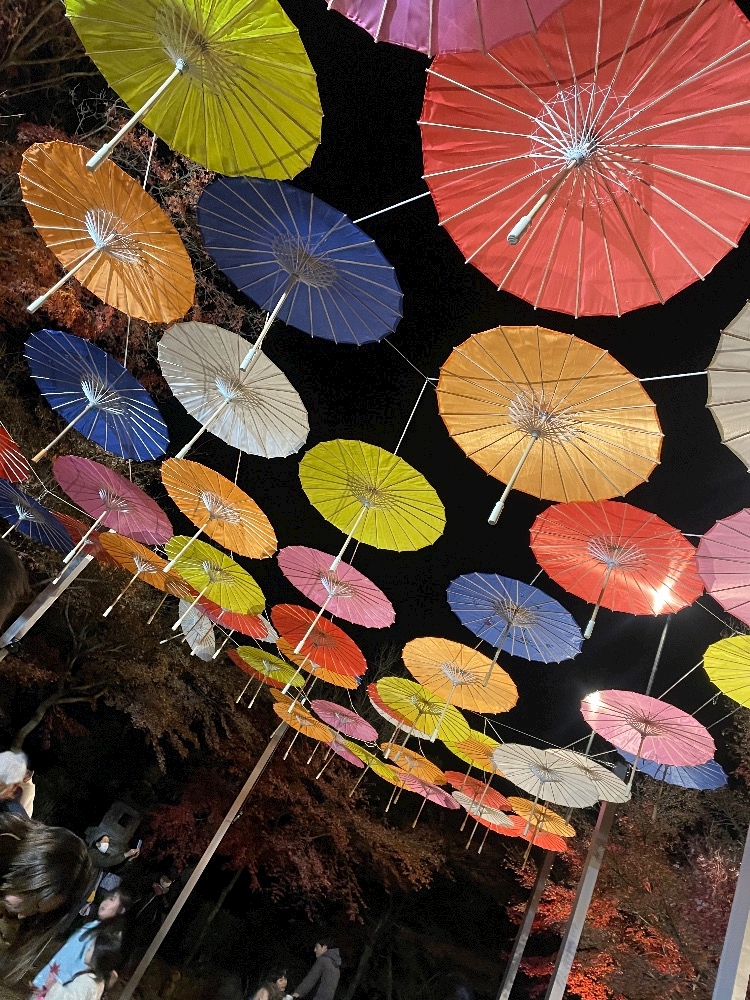 BLUEGATE日記1216306