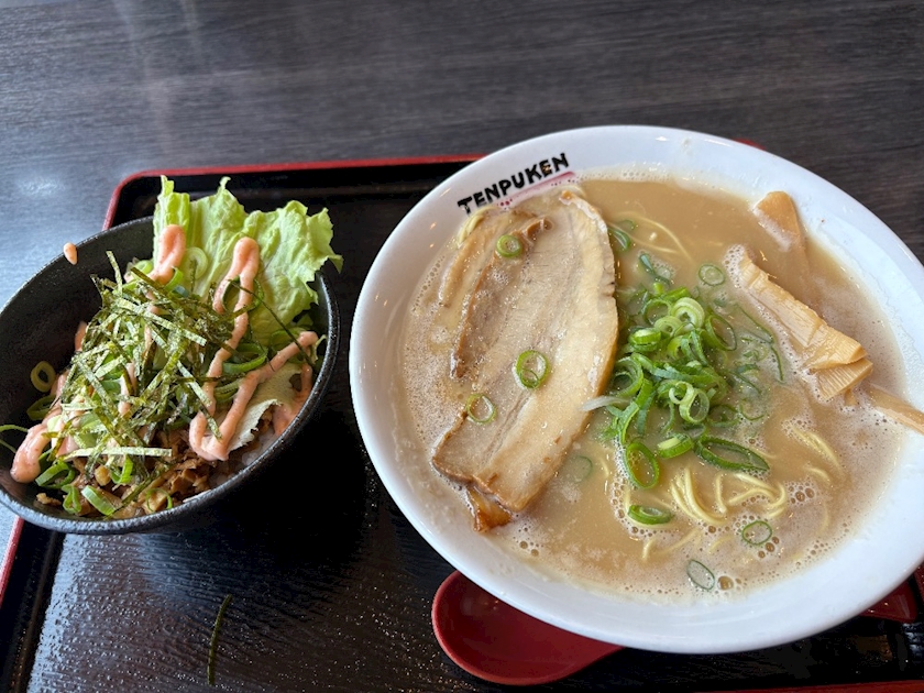 一条 葵
