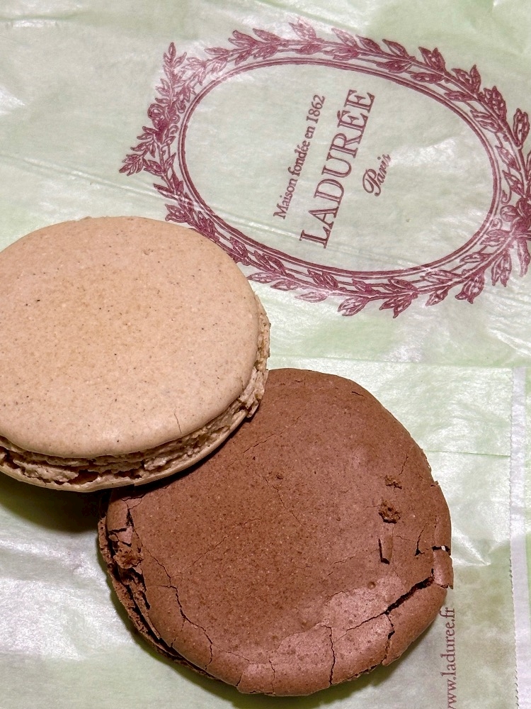 クラブカゲロウ・錦日記1535535