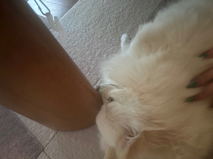 ママ七瀬　あや