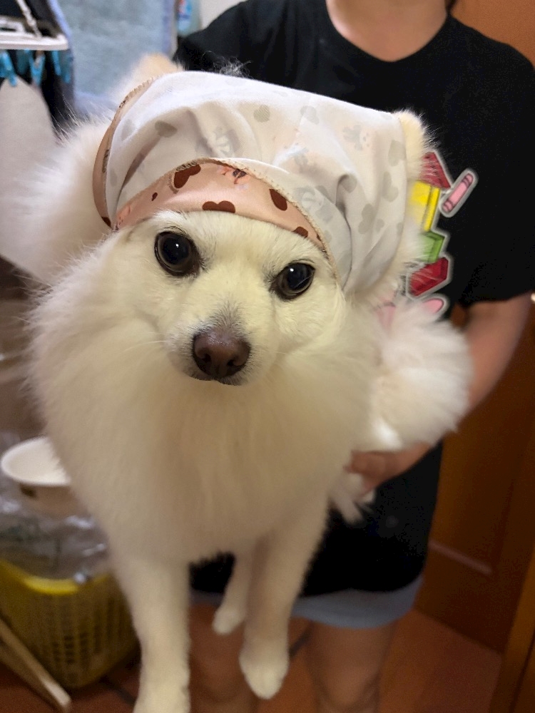 ママ七瀬　あや