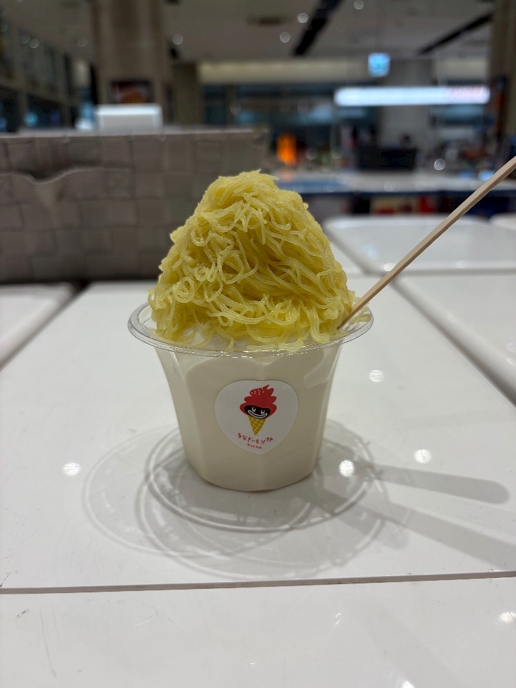 一条 葵