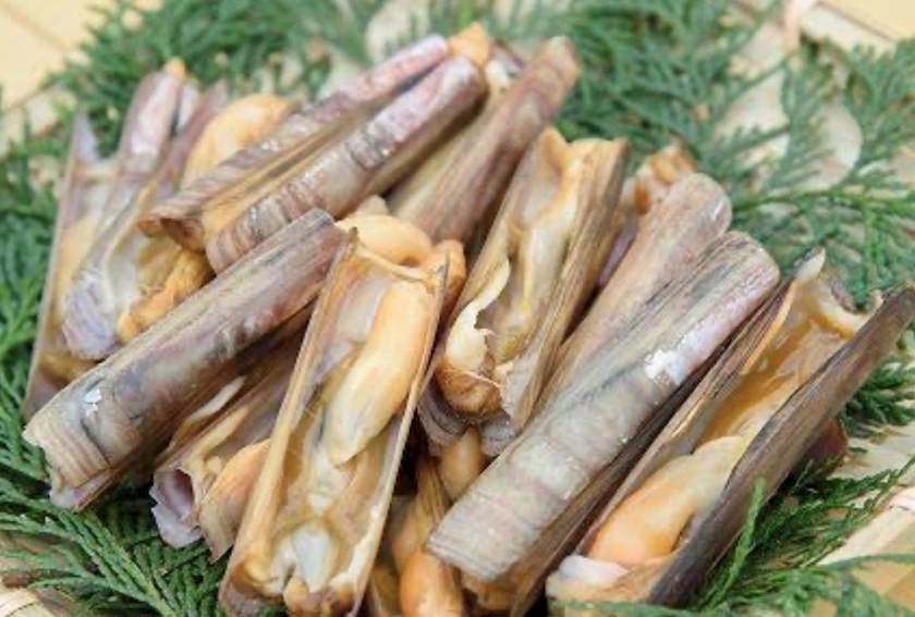 おかえりなさい日記1616969