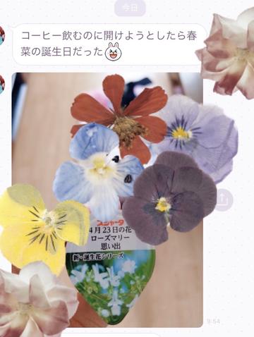 キャスト日記 親友が見つけた誕生日のお花と花言葉 Liebeハルナ Www 21 01 04 12 57 つばき 遥奈 Liebe キャバキャバ