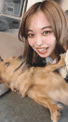 🐶🐾わんわん🐾🐶