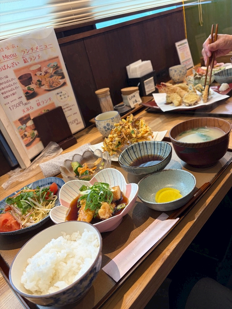一条 葵