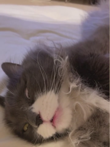 . . . 小次郎のおし･･･