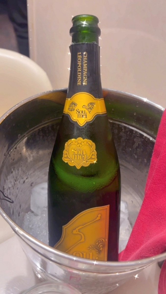 Vivienne日記1508739