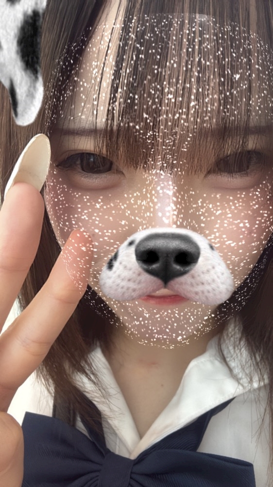 一条 葵