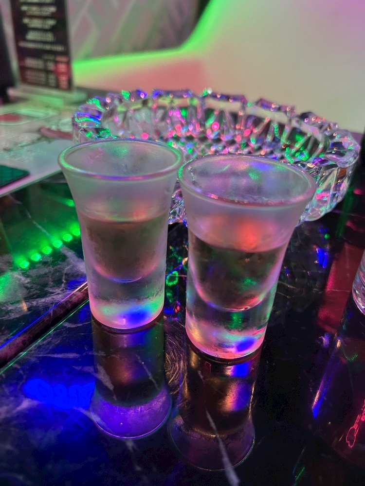 一条 葵