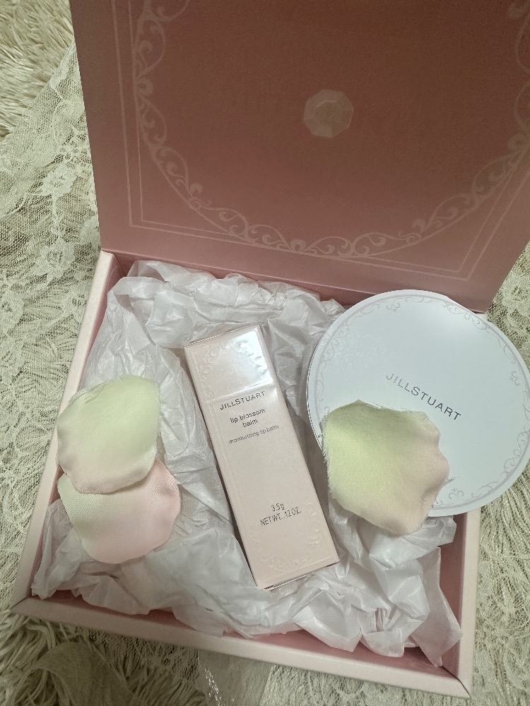 一条 葵
