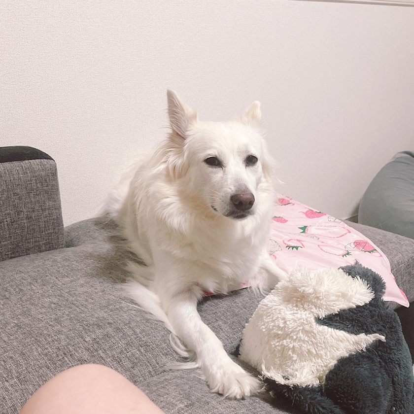 クラブグリム・小牧店日記1513108