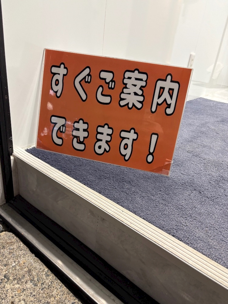 一条 葵