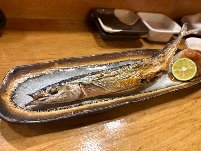 一条 葵