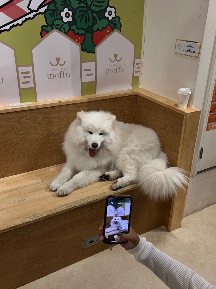 新橋 新橋 an_an（アンアン） きほ (11月17日 19:12投稿)