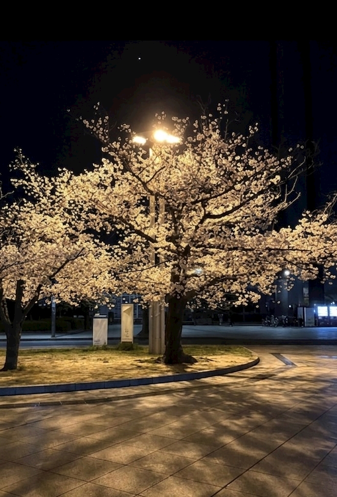 LOUNGE オースリー日記1627381