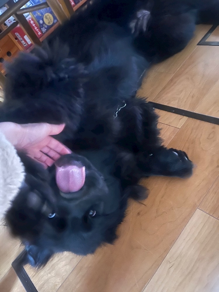 Lounge L’Atelier日記1543766