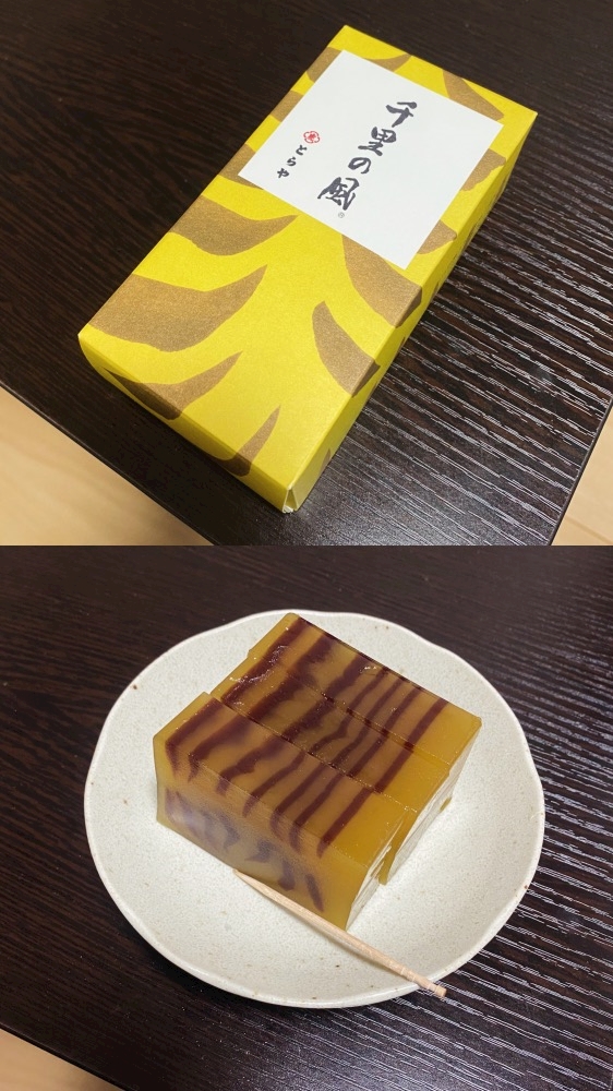 一条 葵